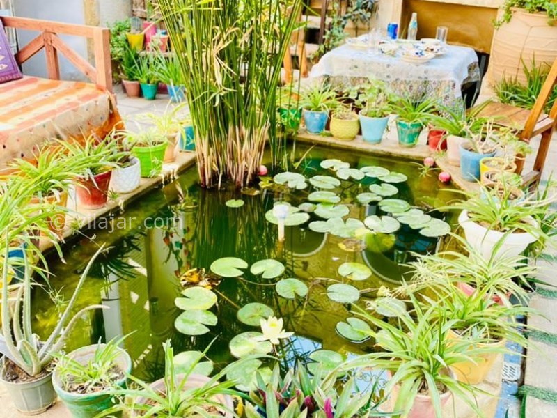 عکس شماره 775971 - اقامتگاه بومگردی ترنجستان شیراز - 