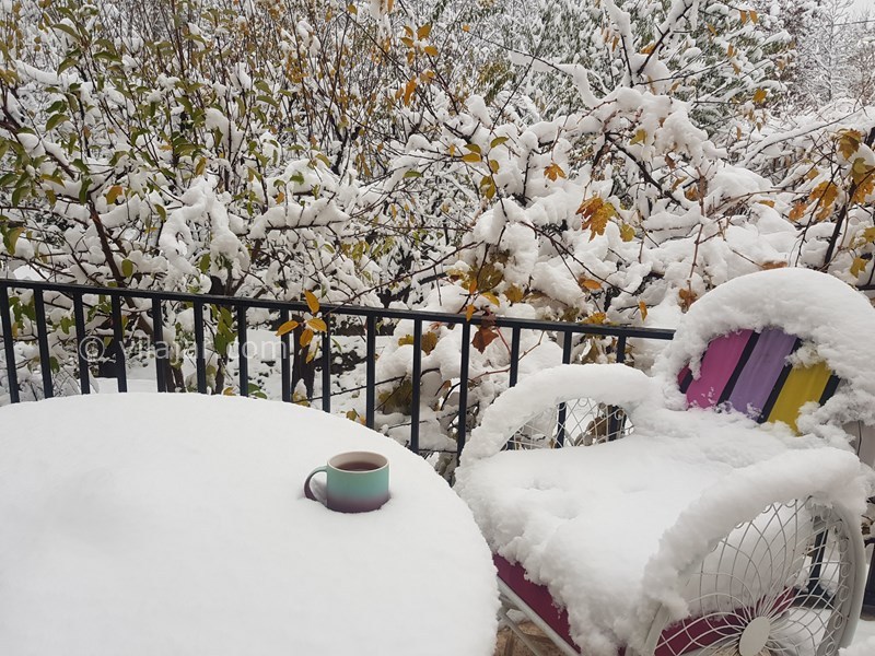 عکس شماره 776666 - ویلا با استخر آبگرم نزدیک کردان - 