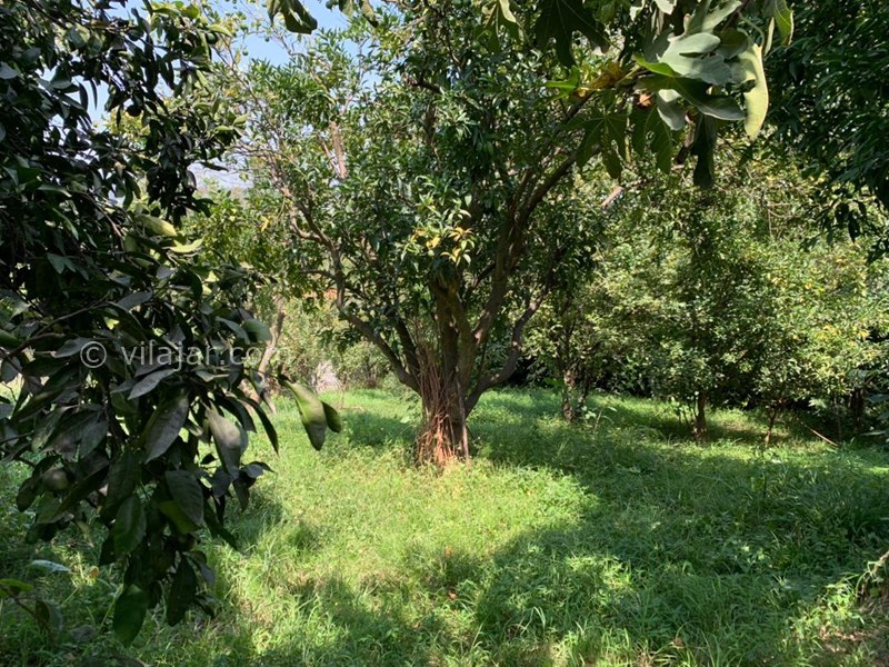 عکس شماره 777757 - اجاره خانه باغ در شیرگاه کاردگر کلا - 