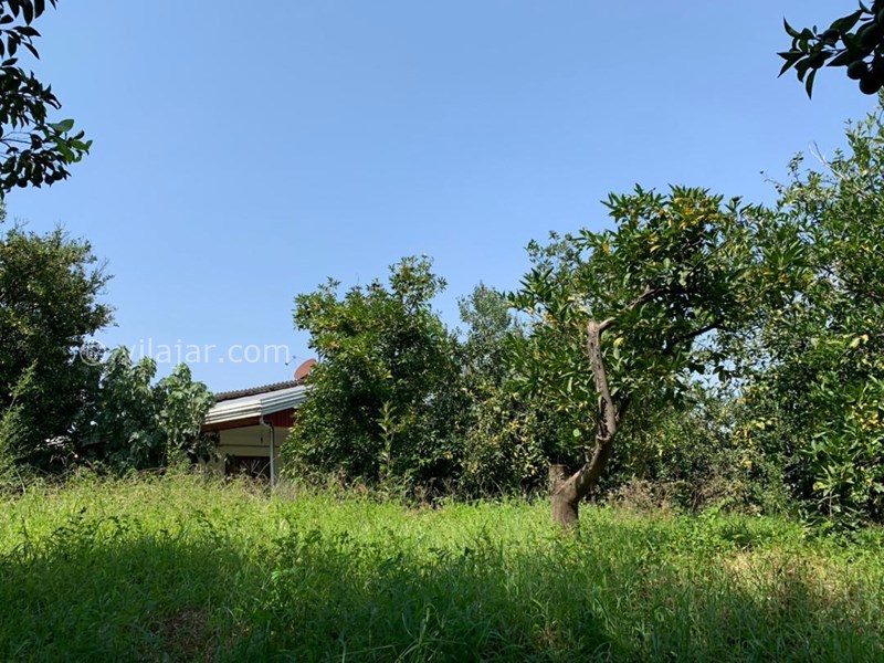 عکس شماره 777758 - اجاره خانه باغ در شیرگاه کاردگر کلا - 