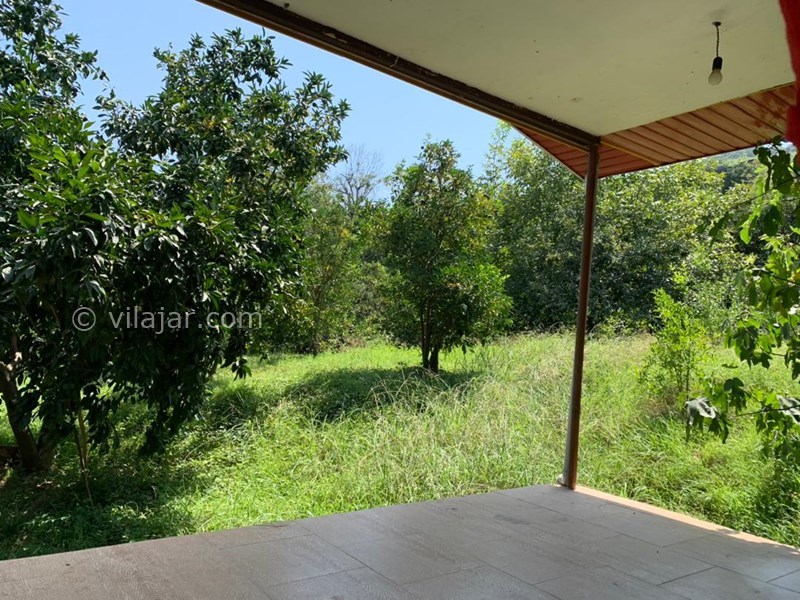 عکس شماره 777774 - اجاره خانه باغ در شیرگاه کاردگر کلا - 