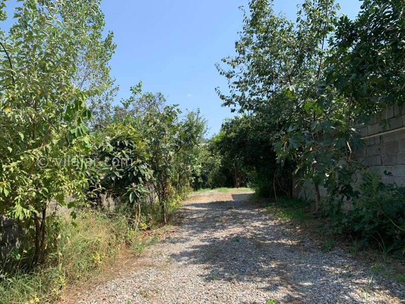 عکس شماره 777778 - اجاره خانه باغ در شیرگاه کاردگر کلا - 