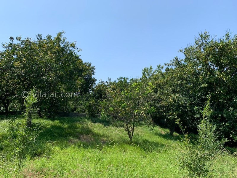 عکس شماره 777792 - اجاره خانه باغ در شیرگاه کاردگر کلا - 