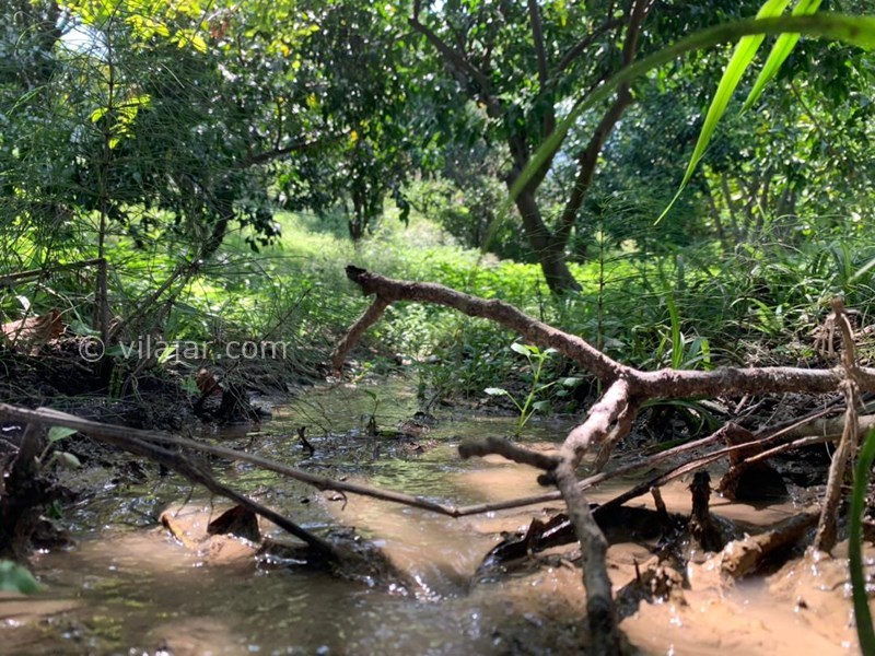 عکس شماره 777794 - اجاره خانه باغ در شیرگاه کاردگر کلا - 