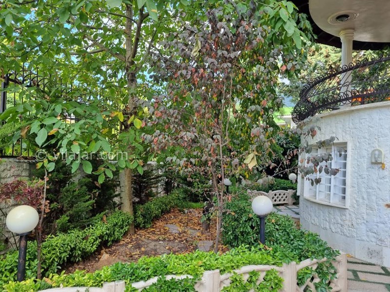 عکس شماره 777948 - اجاره ویلا جنگلی در کلاردشت - 