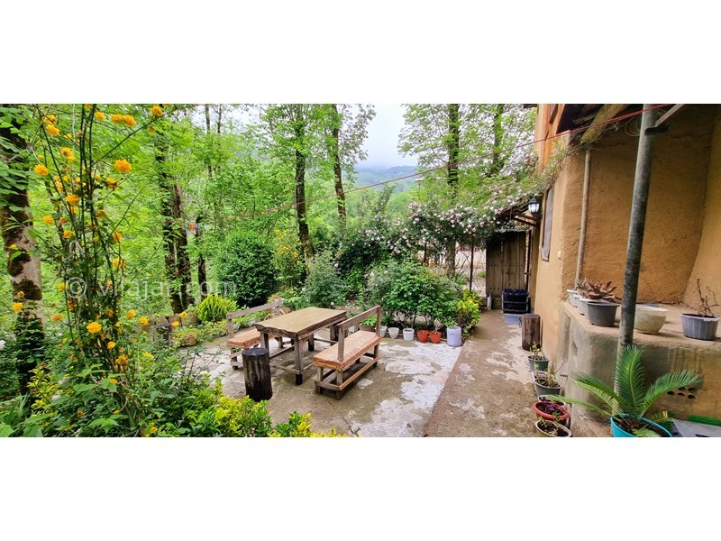 عکس شماره 778095 - اجاره خانه حیاط دار در ماسوله - 