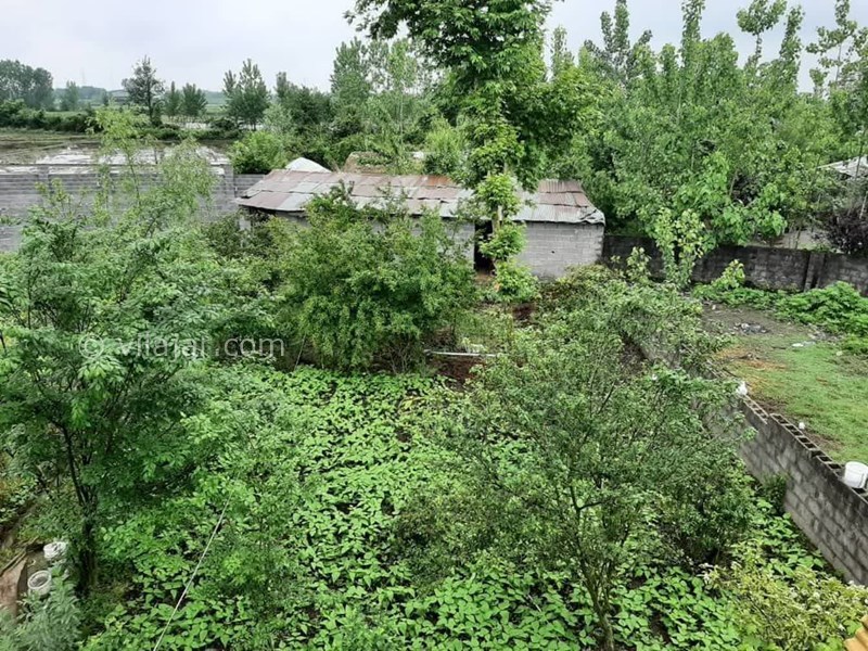 عکس شماره 778194 - اجاره اقامتگاه جنگلی نزدیک خمام - 