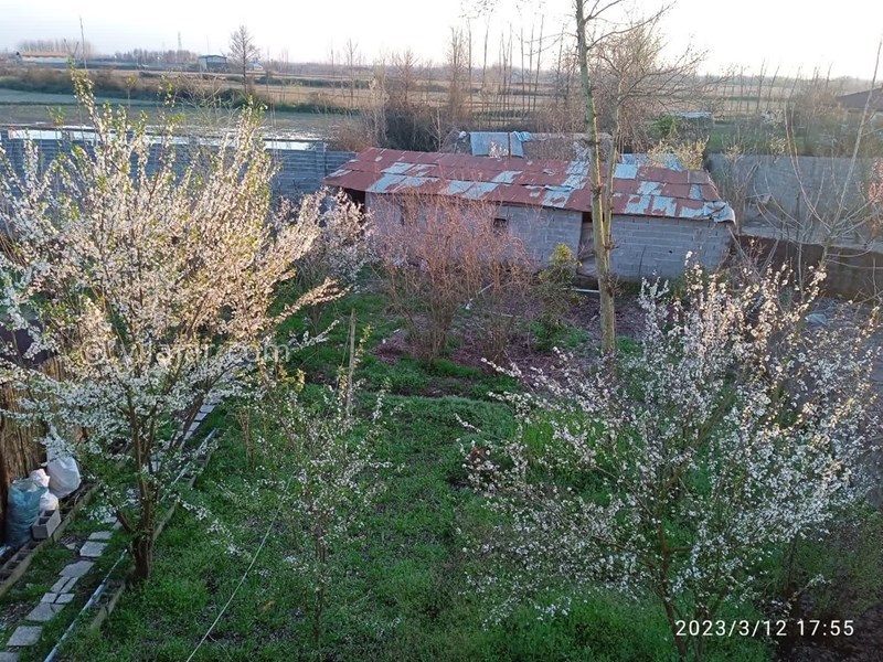 عکس شماره 778201 - اجاره اقامتگاه جنگلی نزدیک خمام - 