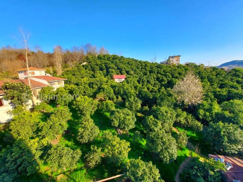 عکس شماره 778227 - اجاره اقامتگاه جنگلی مبله در رامسر - 