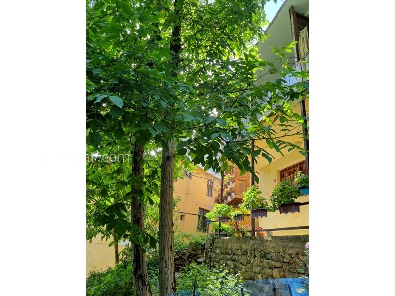 عکس شماره 778330 - اجاره اقامتگاه روستایی در ماسوله - 