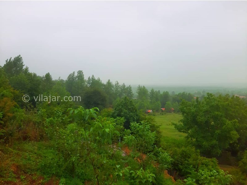 عکس شماره 778956 - کلبه چوبی سوییسی ماسال شاندرمن -