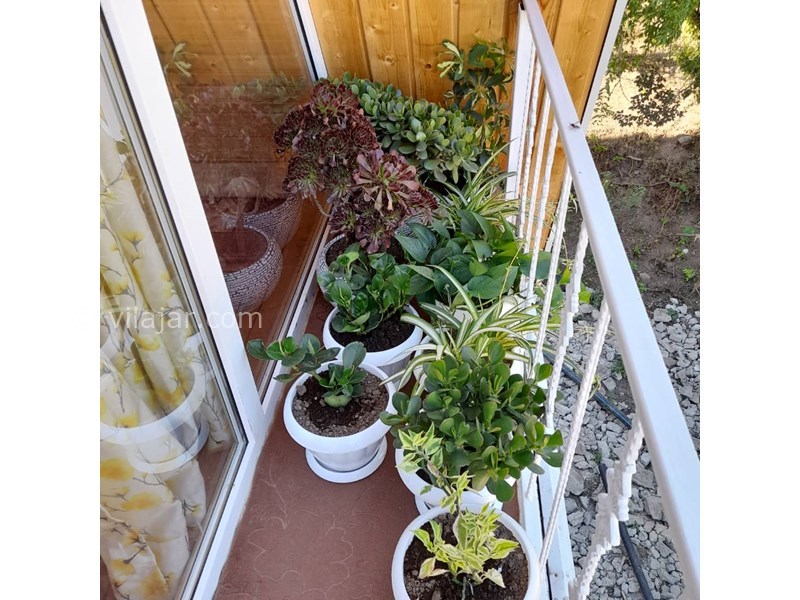 عکس شماره 778982 - ویلا کنار دریاچه ماسال شاندرمن - 