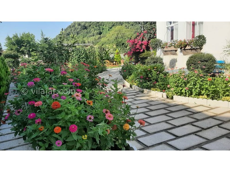 عکس شماره 779502 - ویلا تالش با استخر و منظره جنگل - 