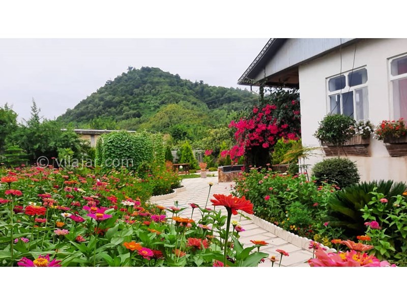 عکس شماره 779503 - ویلا تالش با استخر و منظره جنگل - 