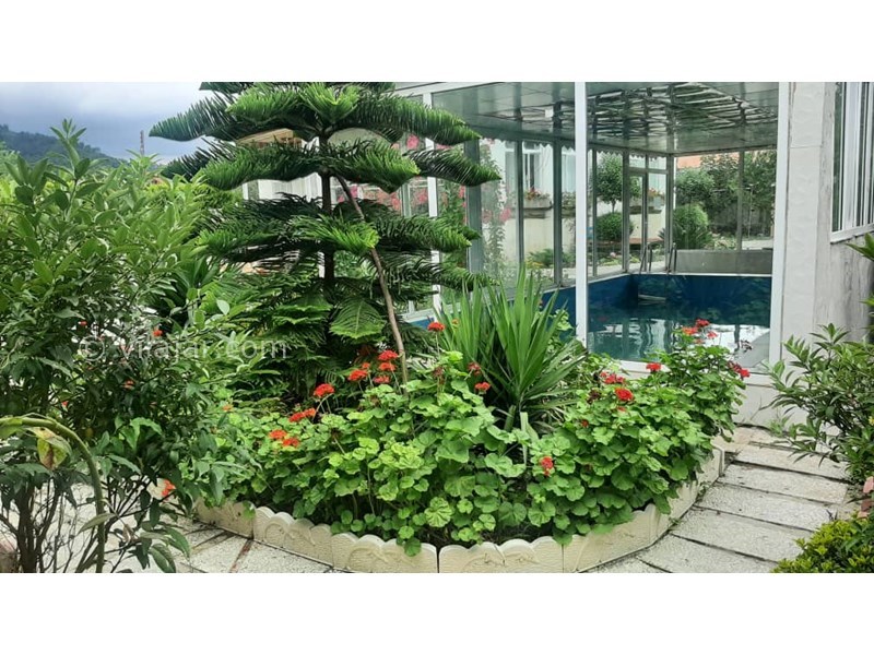 عکس شماره 779514 - ویلا تالش با استخر و منظره جنگل - 