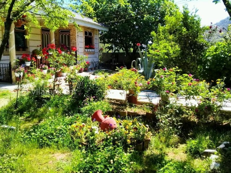 عکس شماره 779563 - رزرو ویلای جنگلی نزدیک اسالم - 