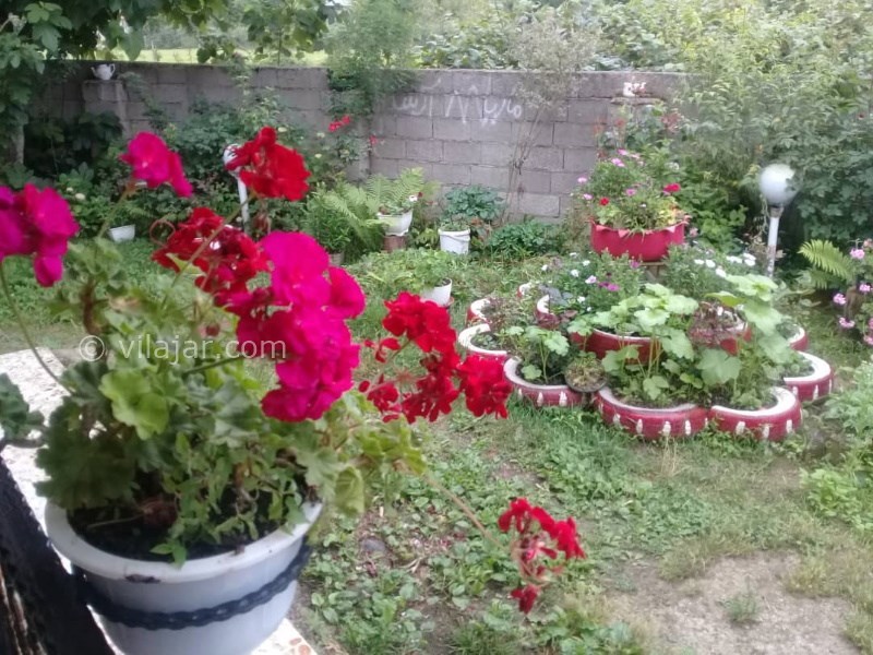 عکس شماره 779568 - رزرو ویلای جنگلی نزدیک اسالم - 