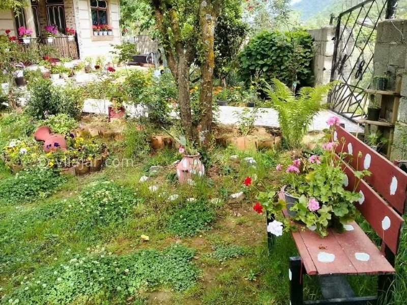 عکس شماره 779577 - رزرو ویلای جنگلی نزدیک اسالم - 