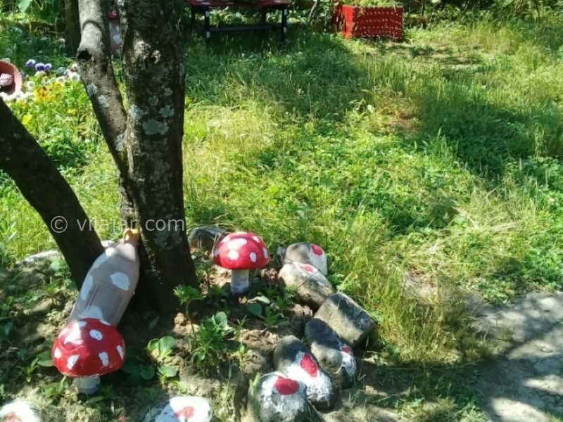 عکس شماره 779578 - رزرو ویلای جنگلی نزدیک اسالم - 