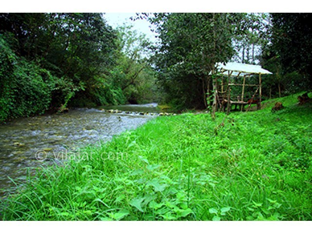 عکس شماره 78021 - رزرو ویلای جنگلی لب رودخانه - 