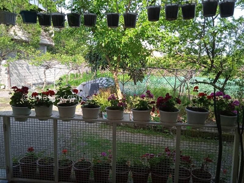 عکس شماره 780500 - اجاره ویلا در تالش - 