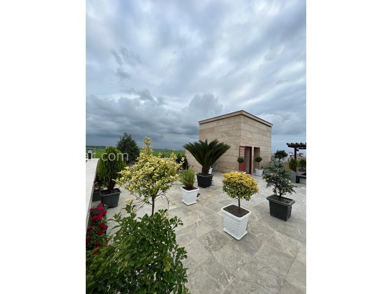 عکس شماره 781541 - اجاره ویلا با استخر جکوزی نور - 