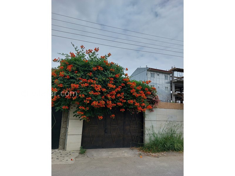 عکس شماره 781757 - اجاره خانه ویلایی در لاهیجان - 