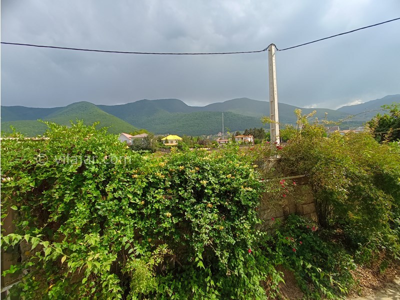 عکس شماره 782092 - اجاره ویلا با ویو جنگل در کلاردشت - 