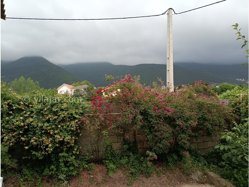 عکس شماره 782095 - اجاره ویلا با ویو جنگل در کلاردشت - 