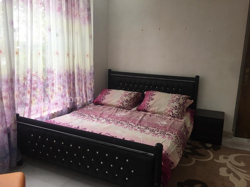 عکس شماره 783464 - اجاره ویلا در شفت گیلان - 