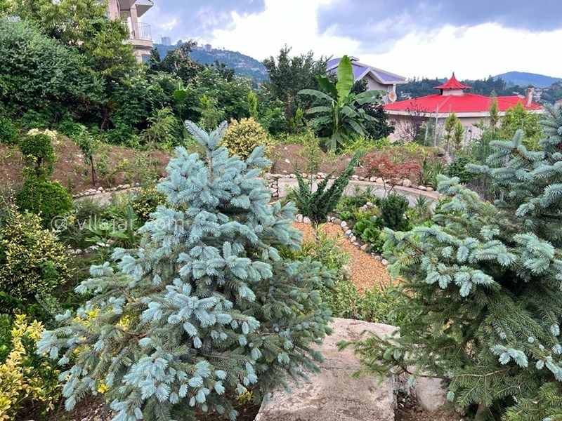 عکس شماره 783581 - کلبه چوبی با استخر آبگرم اربکله رامسر - 