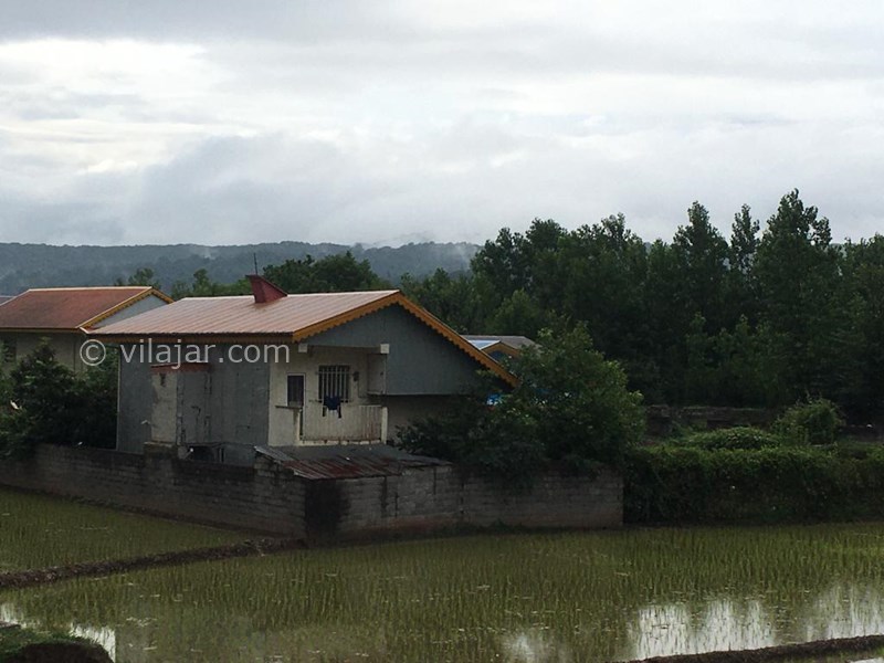 عکس شماره 783654 - اجاره ویلا جنگلی امامزاده هاشم گیلان -