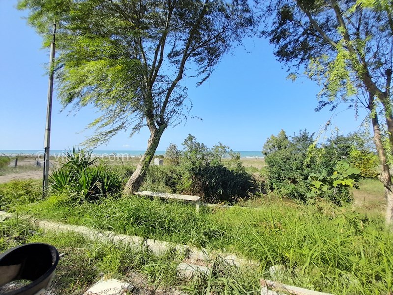 عکس شماره 784205 - ویلا با استخر لب دریا محمودآباد - 