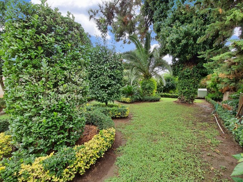 عکس شماره 784223 - اجاره ویلا دهکده ساحلی انزلی - 