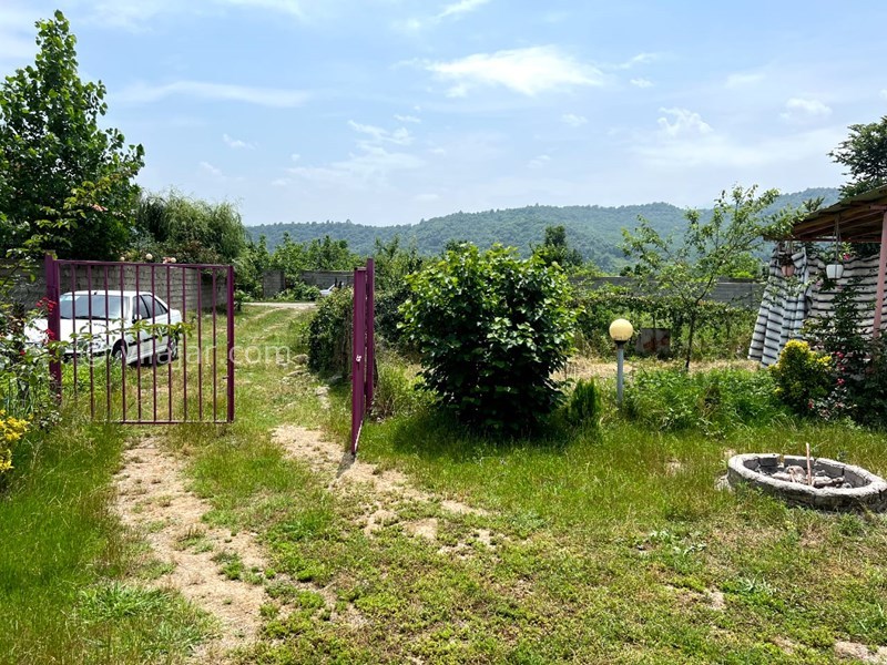 عکس شماره 784332 - اجاره ویلا چوبی در ماسال - 