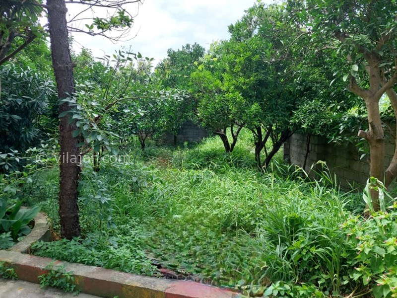 عکس شماره 784647 - اجاره ویلا ساحلی نزدیک رامسر - باغچه حیاط