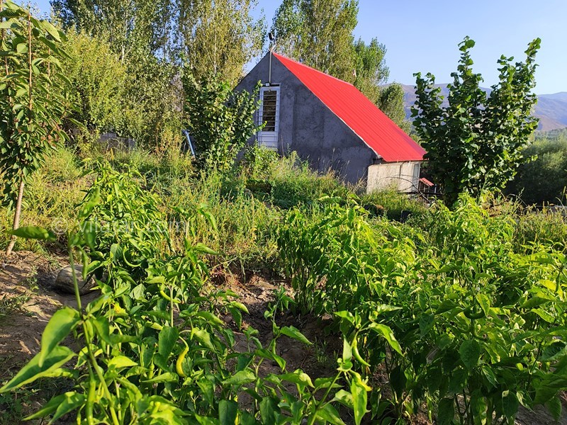 عکس شماره 784840 - خانه باغ روستایی در مشکین شهر - 