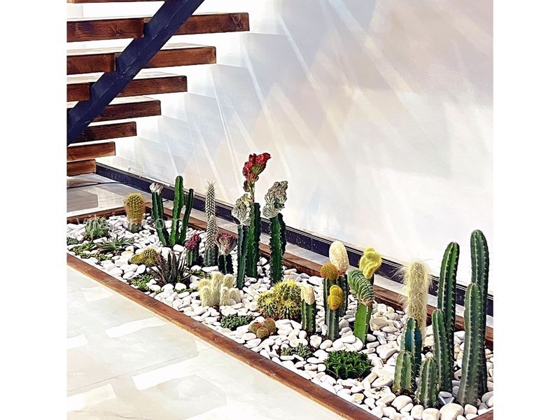 عکس شماره 785430 - اجاره ویلا با 2 استخر و جکوزی ایزدشهر - 