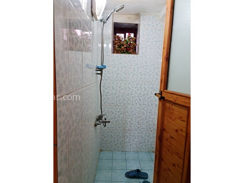 عکس شماره 786014 - اجاره اقامتگاه ساحلی در انزلی - 