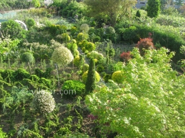 عکس شماره 78739 - اجاره ویلا در رامسر -