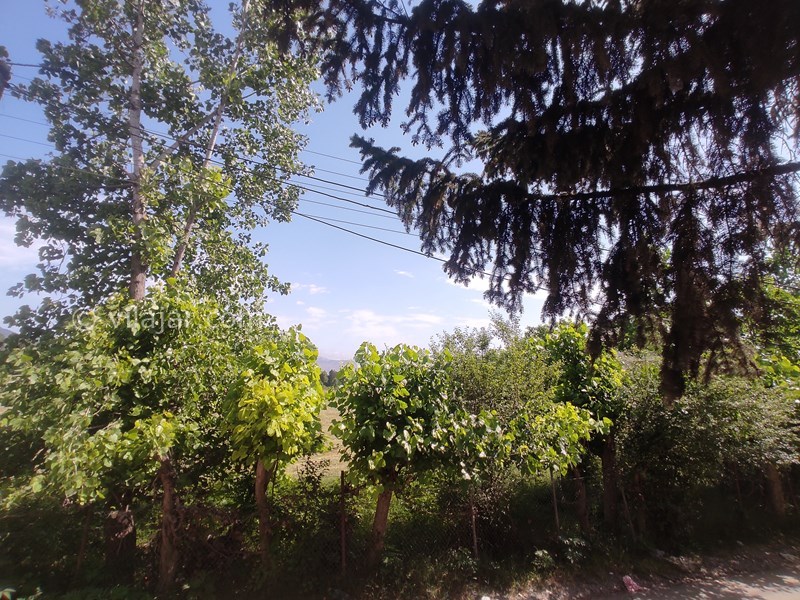 عکس شماره 788526 - اجاره اقامتگاه جنگلی در کلاردشت -