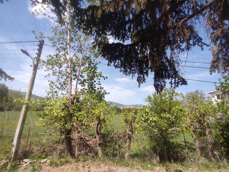 عکس شماره 788534 - اجاره اقامتگاه جنگلی در کلاردشت -