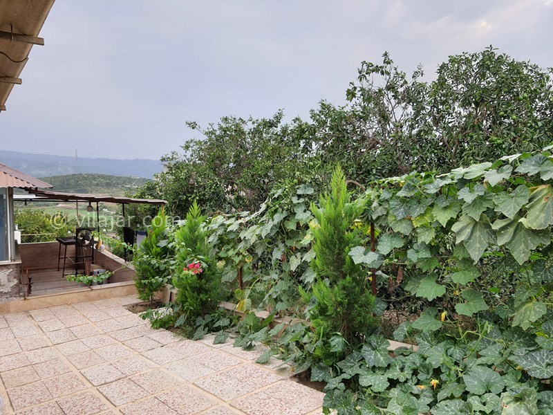 عکس شماره 789841 - اقامتگاه بوم گردی بام کوتنا - 