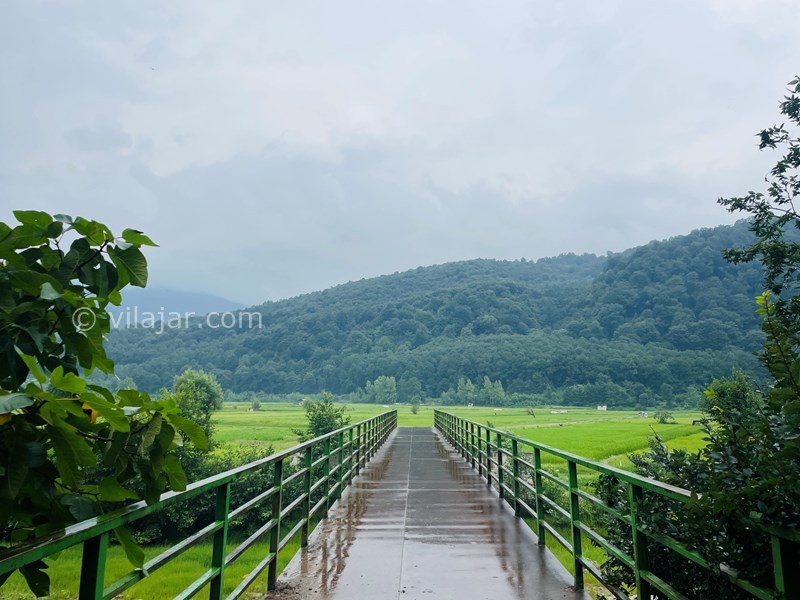 عکس شماره 790857 - اجاره ویلا در سوادکوه زیراب - 