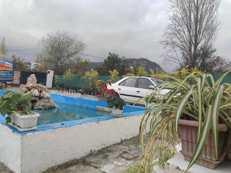 عکس شماره 792407 - اجاره ویلا استخر آبگرم نیاسته رامسر - 