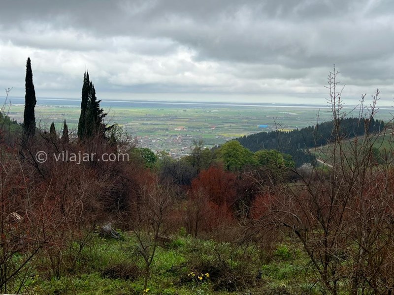 عکس شماره 793148 - اجاره اقامتگاه جنگلی در بهشهر - 