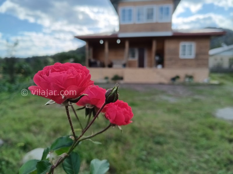 عکس شماره 793229 - اجاره ویلا چوبی در ماسال - 