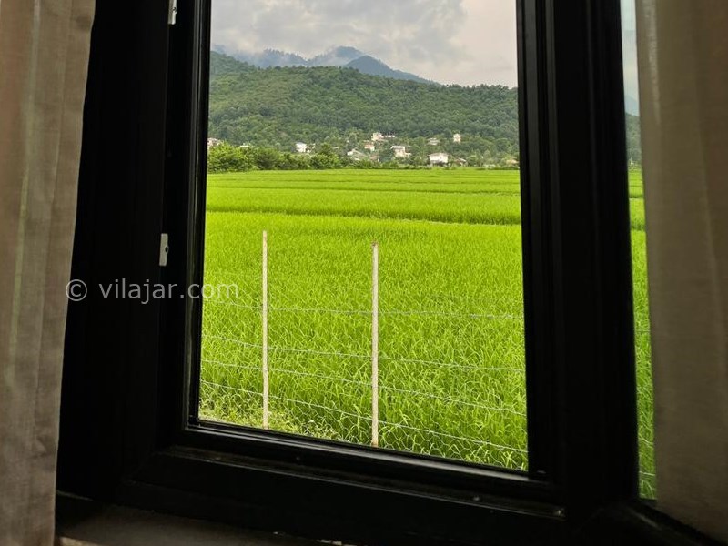 عکس شماره 793244 - اجاره ویلا چوبی ماسال ویو جنگل - 