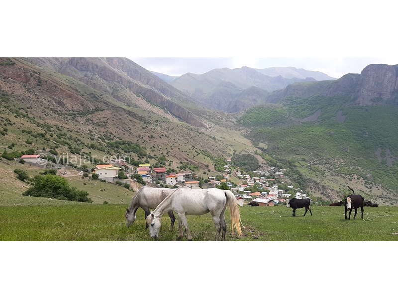 عکس شماره 793942 - اقامتگاه ییلاقی سیاه بیشه جاده چالوس - 