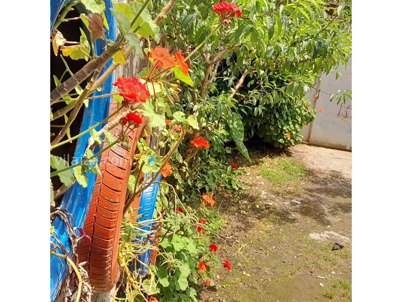 عکس شماره 795183 - اجاره ویلا در رودسر گیلان -